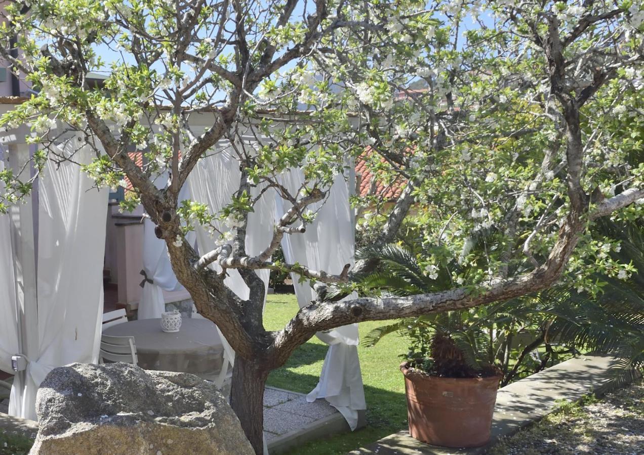 Villa Fiore Apartments Portoferraio Luaran gambar