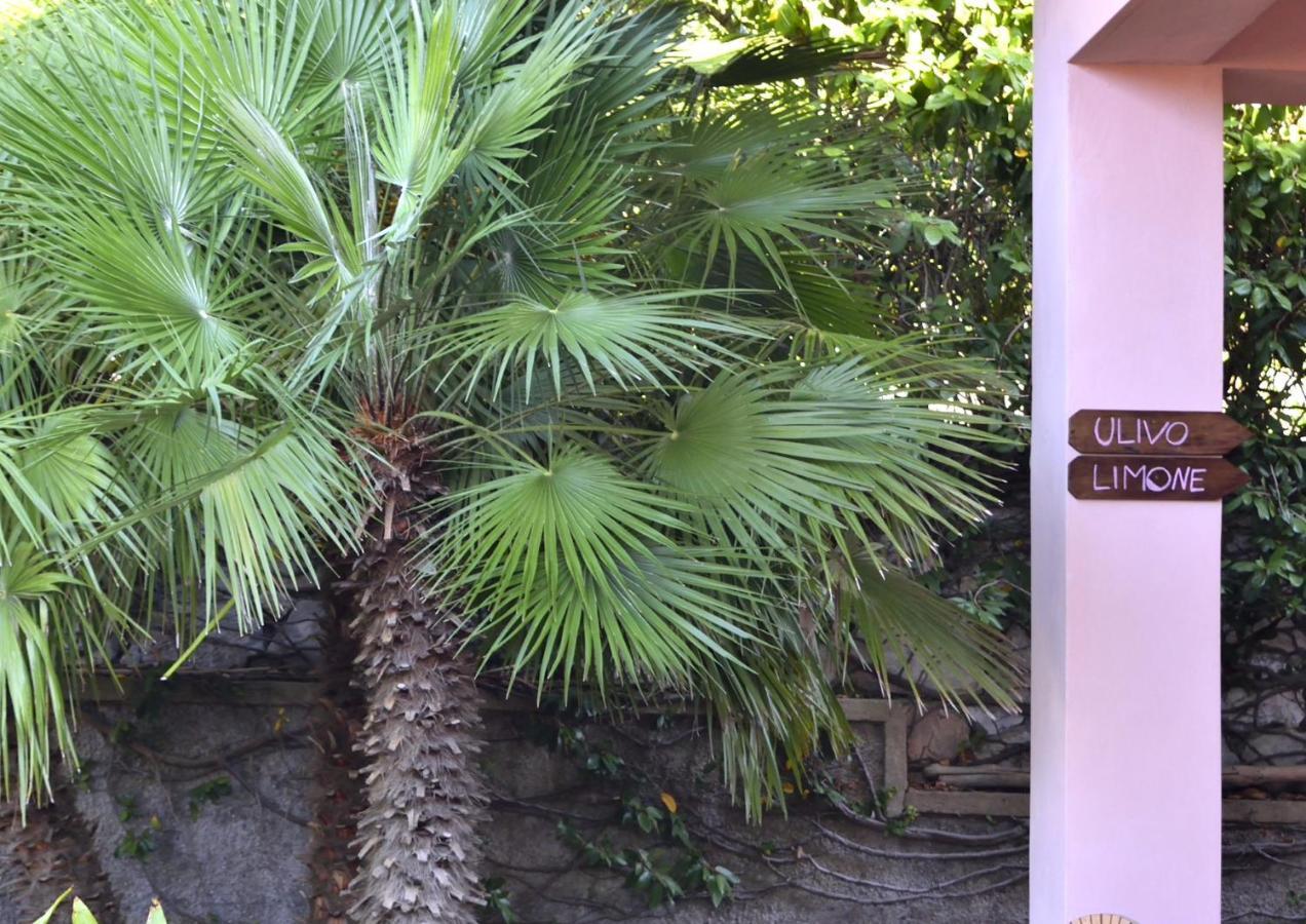 Villa Fiore Apartments Portoferraio Luaran gambar